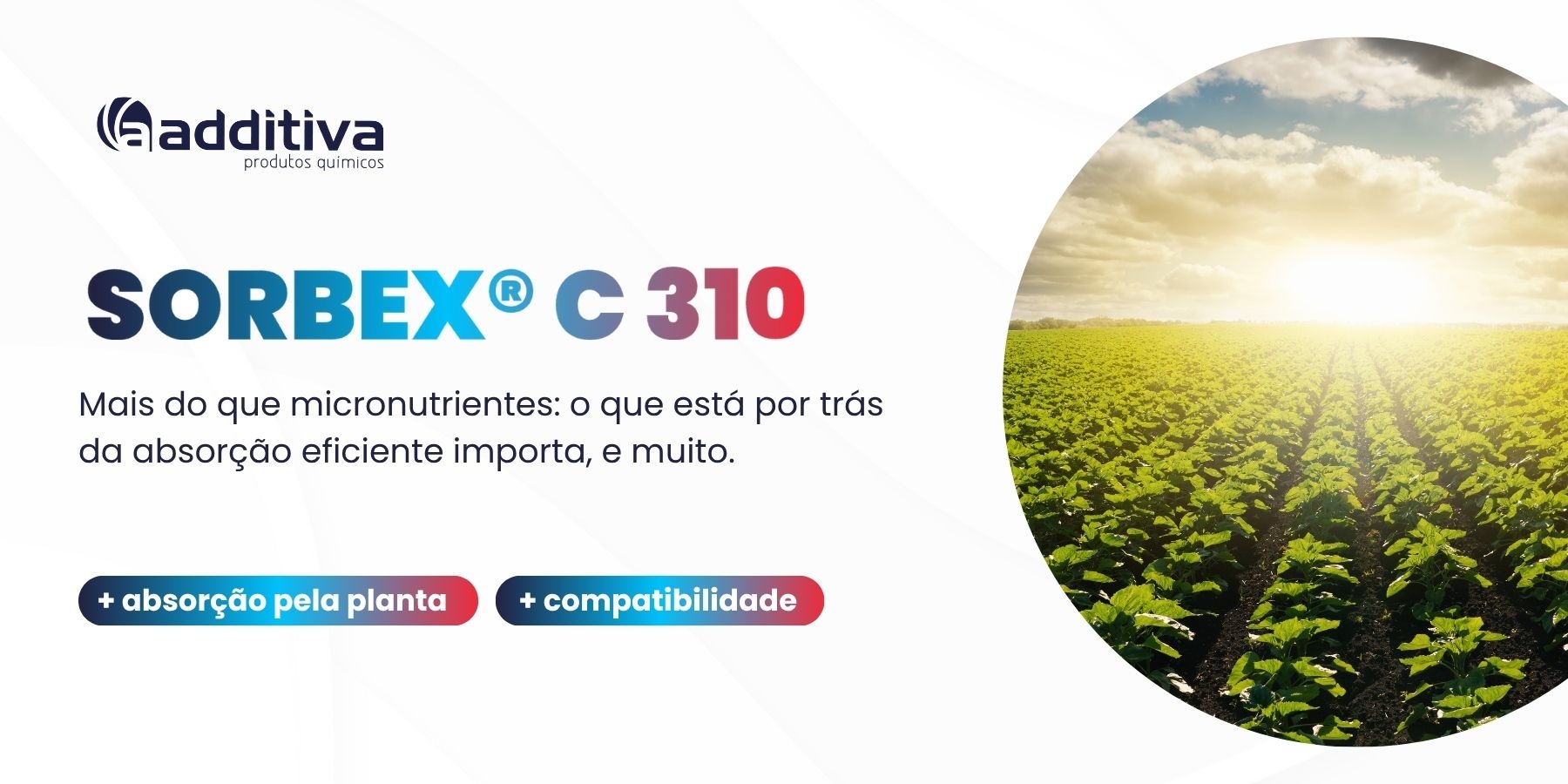 Seu fertilizante está pronto para entregar mais absorção?