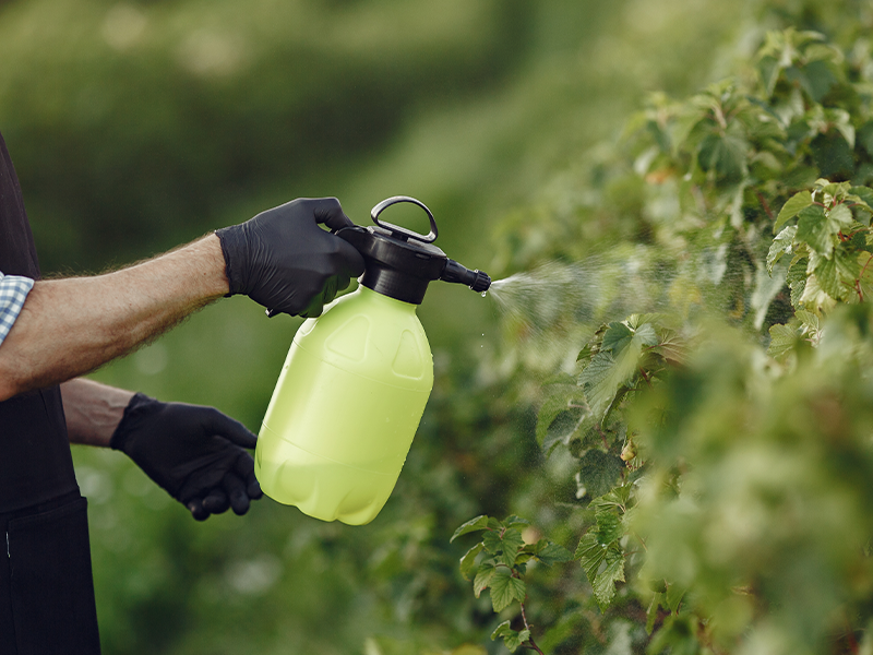 A formação de espuma pode impedir que o princípio ativo do agroquímico entre em contato com a planta, reduzindo a sua eficácia.